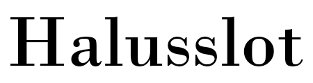 Halusslot
